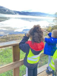 8474010f 962c 432f 817b e500683ee25a