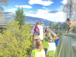 9c1e5e0f bfce 4df4 9334 36c474f2a33f