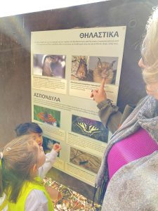 aa7d3b10 e671 42f6 b493 8f05a02948c7