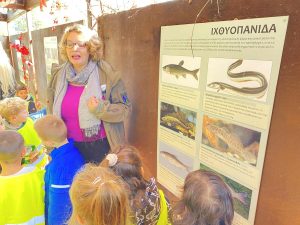 aac8ed4e 73b9 4e4b 862c b938479b699e