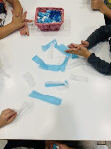 IMG 8260