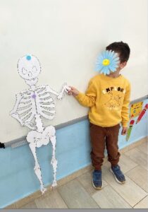 Στιγμιότυπο οθόνης 2024 11 06 114957