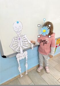 Στιγμιότυπο οθόνης 2024 11 06 115032