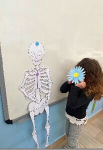 Στιγμιότυπο οθόνης 2024 11 06 115527