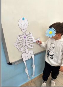 Στιγμιότυπο οθόνης 2024 11 06 115625