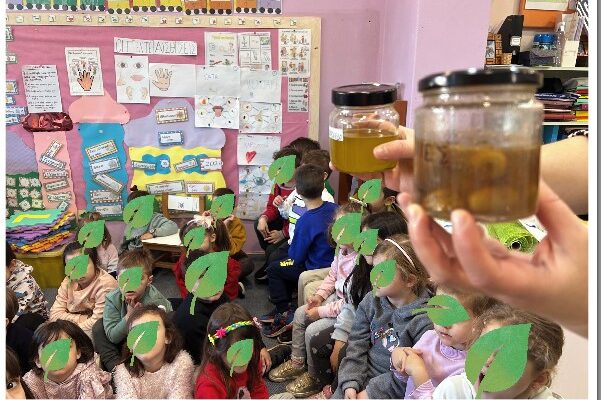 Στιγμιότυπο οθόνης 2024 11 25 124548