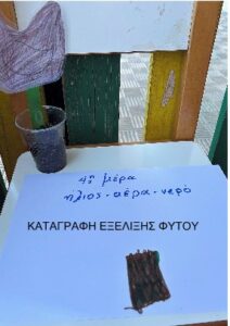 Στιγμιότυπο οθόνης 2024 11 26 124516