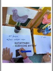 Στιγμιότυπο οθόνης 2024 11 26 124644