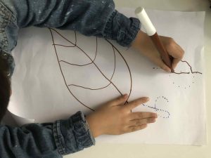 535dd77b 1efb 4337 a0e6 3ad180bf5245