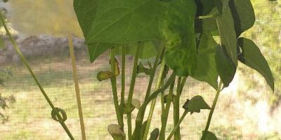 ΜΑΘΑΙΝΩ ΓΙΑ ΤΑ  ΚΑΣΤΡΑ