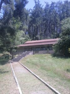 IMG 20250521 131058