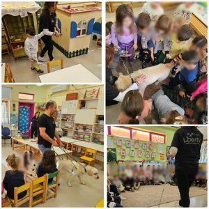 883a6288 63a0 4581 b139 0c4d9ba063c3