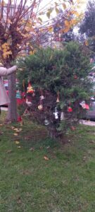 IMG 0da50d35fe471610d3b8ab005f19a891 V