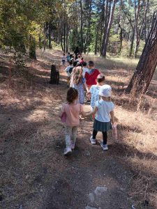 IMG cba29a9304ce0c2982d910468d4e1044 V