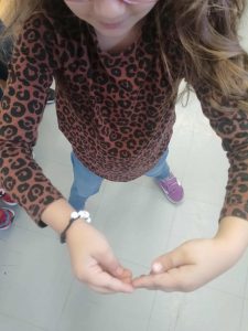 4c4f7474 68d5 4e9e 96c1 6c76faa15f8d