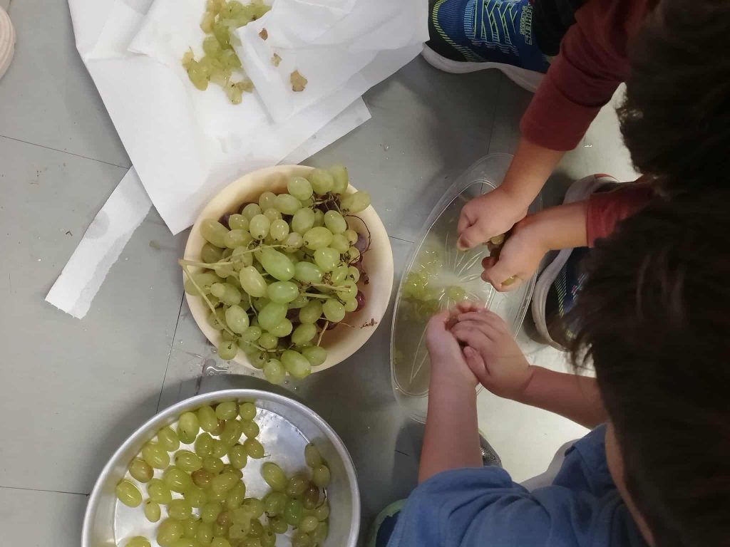 d96c0471 e1c0 462d a3f1 bfdfade42eee