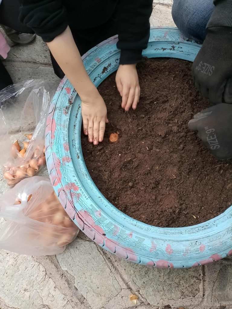 96f8d71f 6b8f 4cdc 89c1 ab0aee6283c6