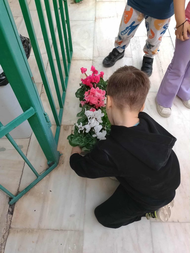 bc2fa39f dca1 4a0f a666 34e9c990e637