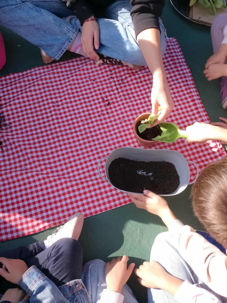 ffceb107 c2c3 4dcd bd65 e620f8261fdb