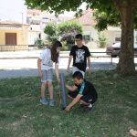 IMG 6371