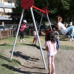 IMG 6881