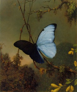 Martin J. Heade (Αμερικανός ζωγράφος του 19ου αι.) Μια μπλε πεταλούδα παίζει με το φως και τη σκιά της. 