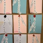 IMG 6751