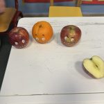 IMG 8509
