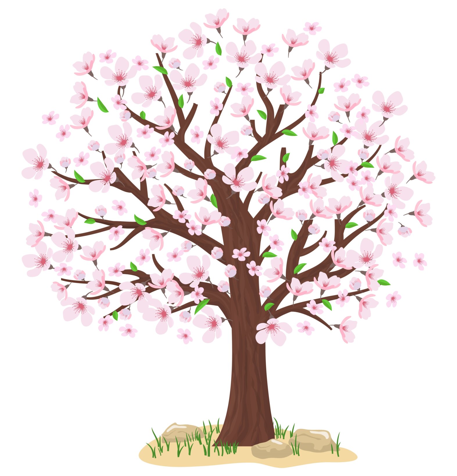 almond tree