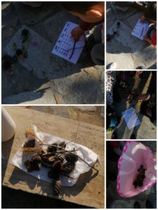 Collage 20240309 135340