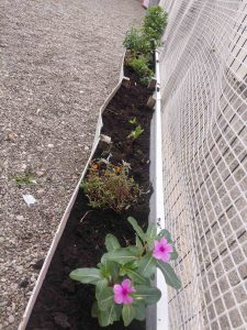 IMG 84eaebc0d2e900a767ce7aa88a0f4e05 V