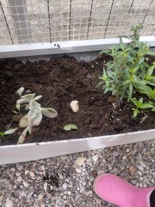 IMG c3ed1ffbf8c85b800809aaa65e71b9ef V