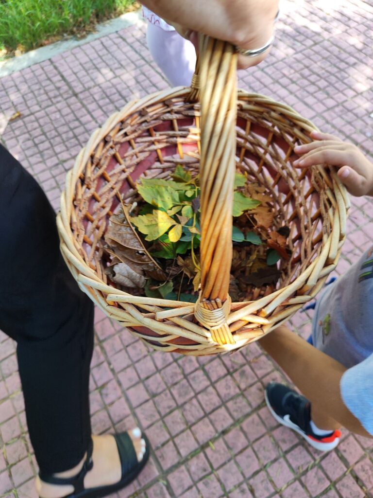 IMG 226899f8f5929b7e599b87e387dadb0c V