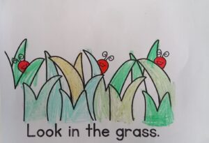 IMG 711a57d1b7a0dab0636033eb1a8224aa V