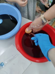 IMG 8e24e980c9ef07aa989a924266d3e6c2 V