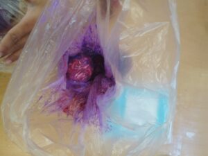 IMG cf241fcb92fb28ef53b38926ae88c941 V