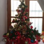 IMG 20241129 094332