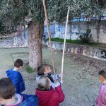 IMG 39fe8322b58b79bfc97ca8c86039699e V