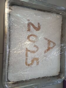 εικόνα Viber 2025 01 21 12 58 42 041