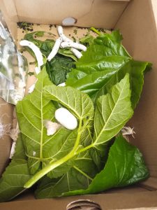 0 02 05 79b7b88471ad6bf5e9ecc41a7cd62dbf873fdbb6489356715d801158902fa69e f9f75357b0762d2f