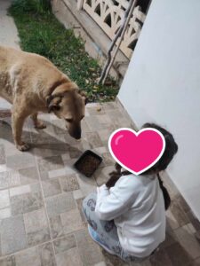 1712302453770 Messenger creation 85463650 119c 4216 822a 837c81a66ec0