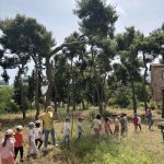 IMG 72f3e4100a69be4b715e8e0748c6042d V