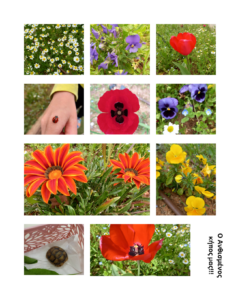 Add a little bit of body text 5