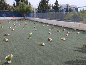IMG 20230512 110613
