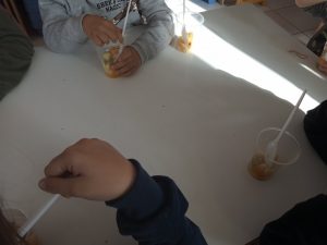 IMG 20230119 105428