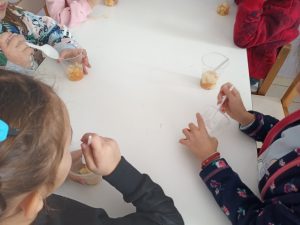 IMG 20230119 105432