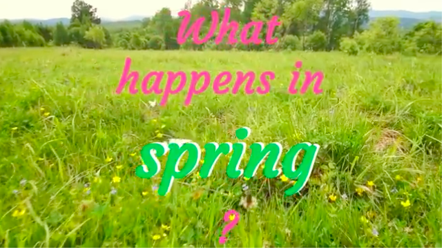 Screenshot 2024 04 17 at 11.03.52 PM