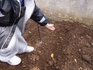 Φυτεύουμε σπόρους από ΣΠΑΝΑΚΙ