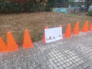 9627b1b6 b78f 47a0 b09a 78adb257a014 1