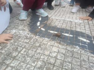 d9189da3 10c1 4a1e 862b d1a19ada57df